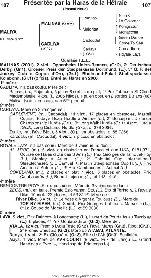 Miniature pedigree